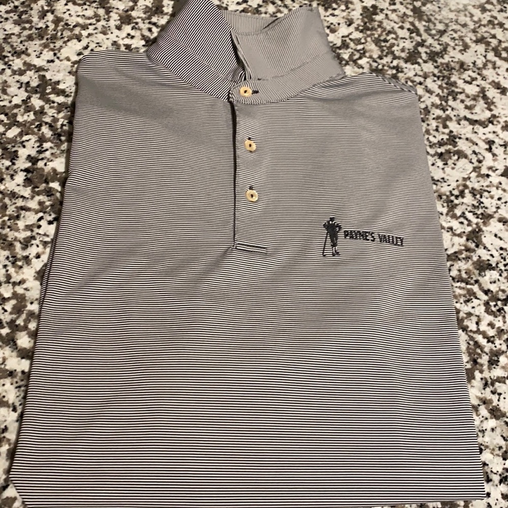 Peter Millar “Payne’s Valley” Golf Polo Size M (fits like a Large)